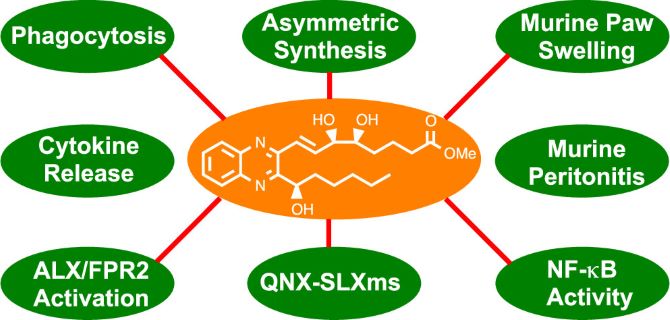 Asymmetric Synthesis